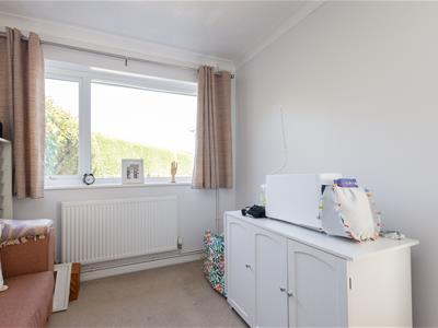 Picture 20